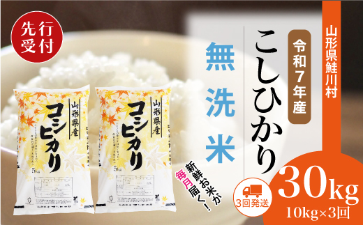 
            ＜令和7年産米先行受付＞ 鮭川村 コシヒカリ 【無洗米】 定期便 30kg （10kg×1ヶ月間隔で3回お届け）＜配送時期選べます＞
          
