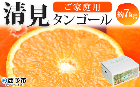 ＜愛媛県西予市産 清見タンゴール ご家庭用 約7kg＞ 訳あり ワケアリ 果物 フルーツ みかん ミカン 蜜柑 オレンジ きよみ キヨミ 柑橘類 食べて応援 旬 特産品 宇都宮物産 愛媛県 西予市【常温】『2026年3月上旬～5月上旬迄に順次出荷予定』UUB0030