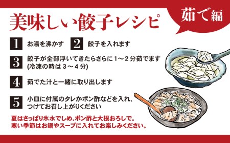 にんにく ぎょうざ 100個 小分け 冷凍 国産 ぎょうざ