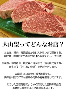 大山望 鳥取和牛 サーロインステーキ 1枚250g 牛肉 和牛 お肉 ステーキ