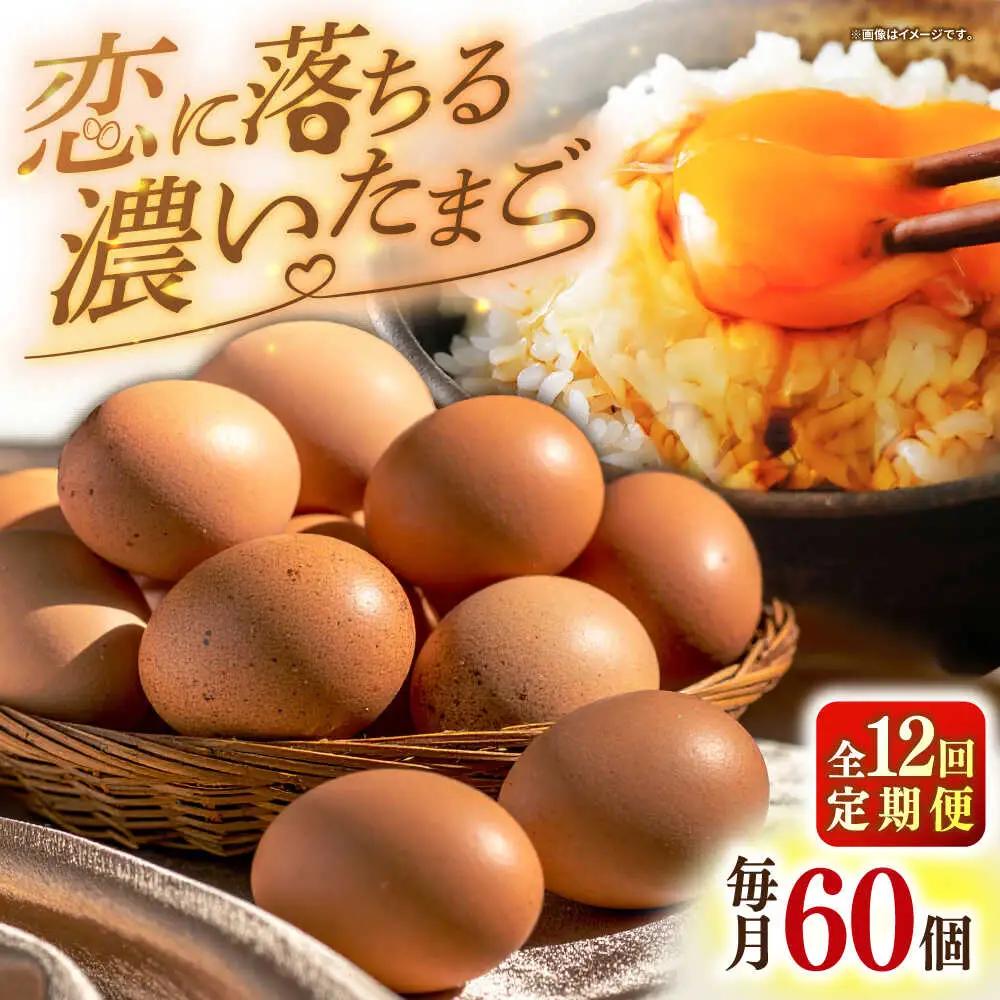 【全12回定期便】【特選卵】素直な恋たまご 60個 [JAP005]