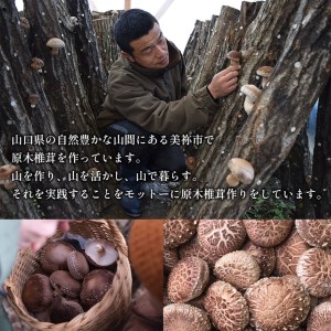 食感も香りもおいしい 乾燥椎茸 袋(大) 中葉(110g入り)×3袋セット