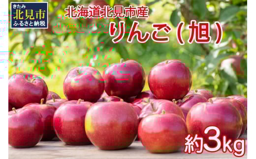 【予約：2025年10月から順次発送】北海道北見市産 りんご 旭 約3kg ( りんご リンゴ 林檎 果物 フルーツ 期間限定 )【044-0003-2025】