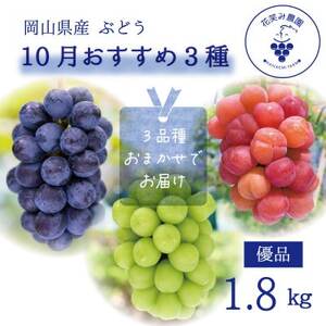 【2026年先行受付】岡山　花笑み農園の『10月おすすめ3種』優品　1.8kg(3房)3M-2L優【配送不可地域：離島】【1695418】