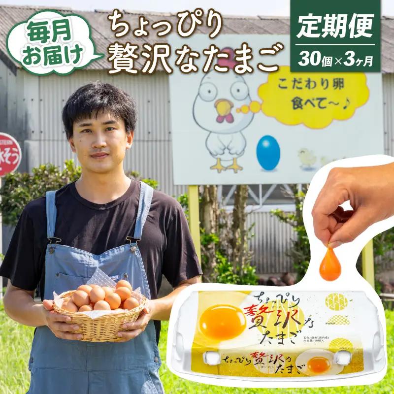 【定期便3回】こだわり たまご 30個 (10個×3パック) 新鮮 平飼い 卵 ﾀﾏｺﾞ