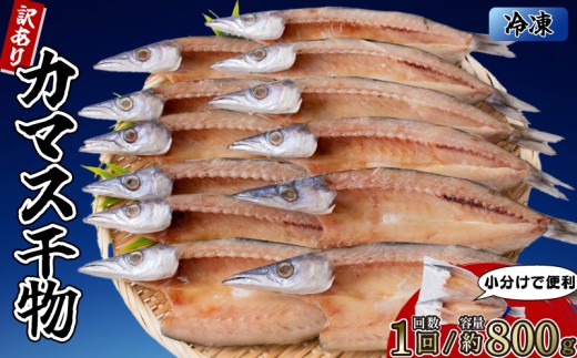 カマスの干物 4袋（約8枚） 【1回分】