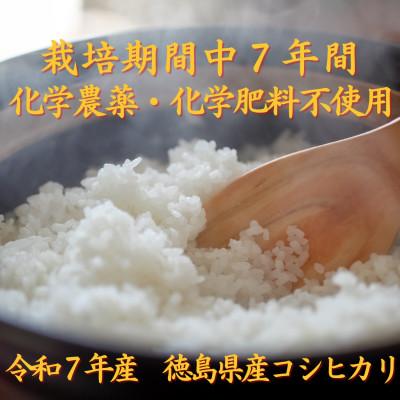ふるさと納税 阿南市 栽培期間中7年間化学農薬・化学肥料不使用　徳島県産コシヒカリ　10kg　精米