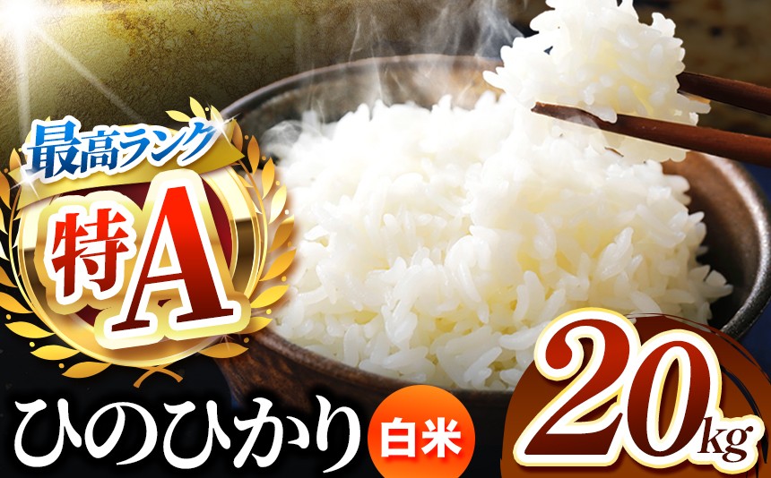 
                  熊本県産 ひのひかり 白米 20kg | お米 精米 白米 ヒノヒカリ お米 お米 送料無料 お米 熊本  くまもと お米  熊本県  国産 KOKUSAN 国産米 熊本県 玉名市
                