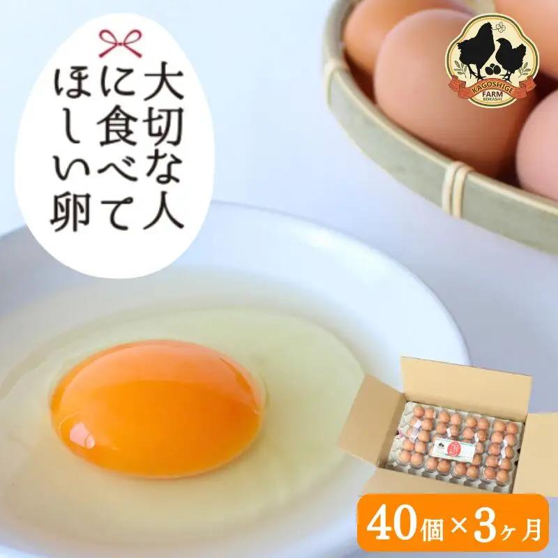 【3カ月定期便】大切な人に食べてほしい卵　40個×3回【冷蔵配送】 / 田辺市 卵 たまご 鶏卵 平飼い お取り寄せ 卵かけごはん 和歌山県 【kag009-tk】