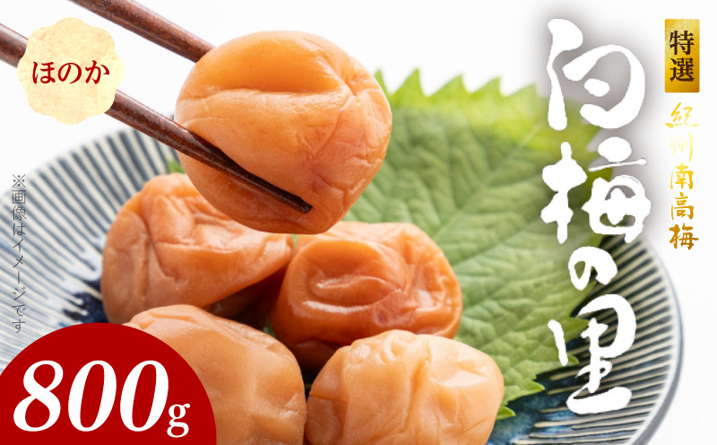 SF2001_特選紀州南高梅「白梅の里」ほのか　800ｇ
