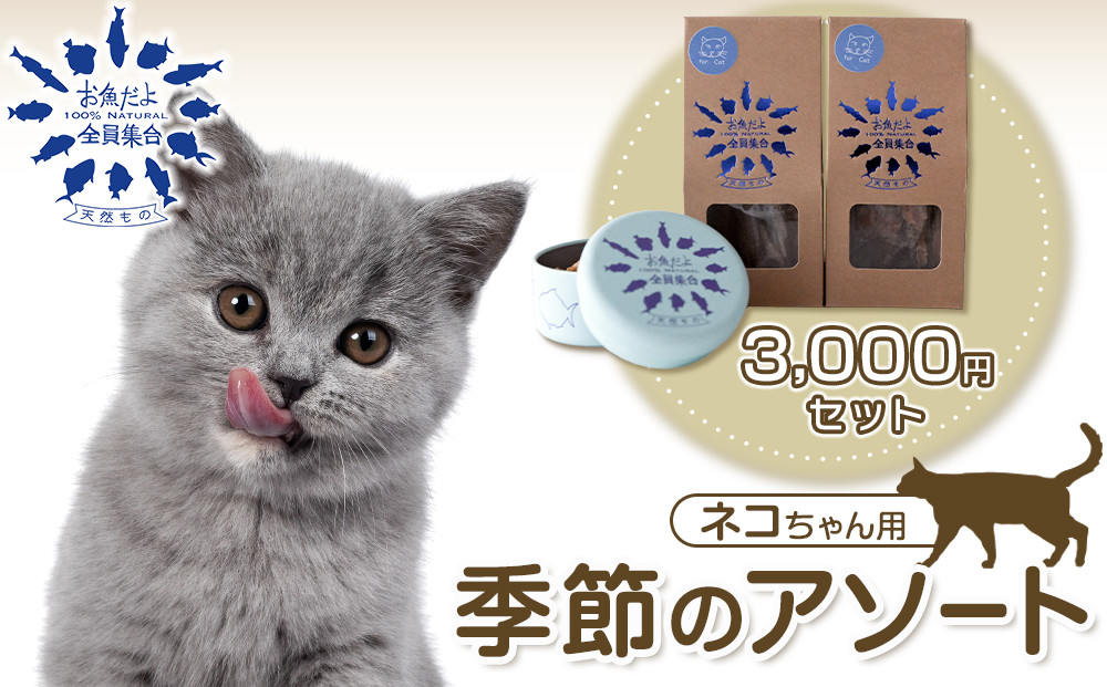 お魚だよ全員集合　季節のアソートセット 3,000円セット　ネコちゃん用｜ペット おやつ 猫 ペットフード 141305_KY03