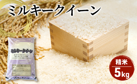 【令和７年産】新潟産 ミルキークイーン精米5kg お米 ご飯 食卓 主食 おにぎり お弁当 国産 日本産 ブランド米 
