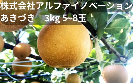 梨　アルファイノベーション株式会社　あきづき　3kg 5~8玉 | なし ナシ 秋月 白岡の梨 白岡美人 埼玉県 白岡市