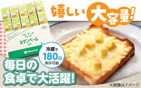 ベビーチーズブレンド カマンベール100個[AQCM006]  チーズ チーズ チーズ チーズ チーズ
