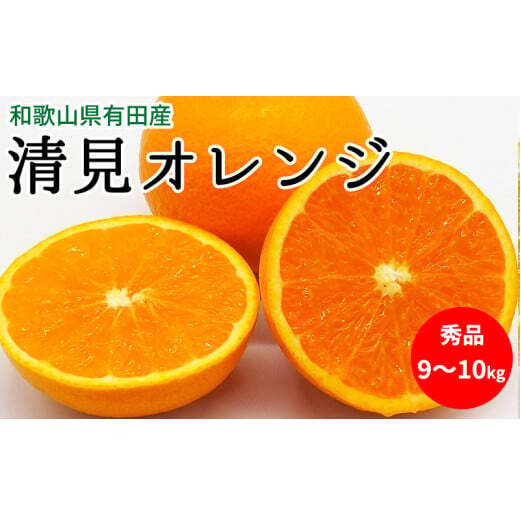 【2027年先行予約】清見オレンジ 秀品 約9～10kg 和歌山県有田産_U6303