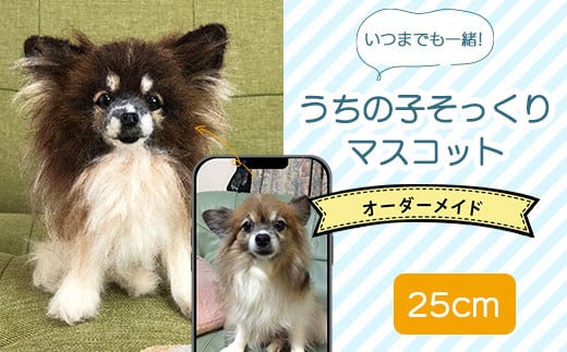 
いつまでも一緒！うちの子そっくりマスコット25cm ふるさと納税 ペット 犬 猫 うさぎ リアル 可愛い ファンシー 手作り 一点もの オリジナル 千葉県 木更津市 送料無料
