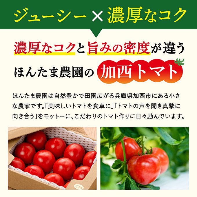 加西市産 ほんたま農園の大玉トマト 2kg 野菜 とまと