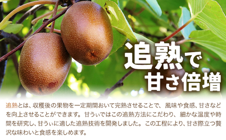 キウイ 甘うぃ 約3kg 南国フルーツ株式会社【26年度出荷】《10月下旬-11月末頃出荷》福岡県 小竹町 あまおう 福岡県産 キウイ フルーツ キウイフルーツ 果物