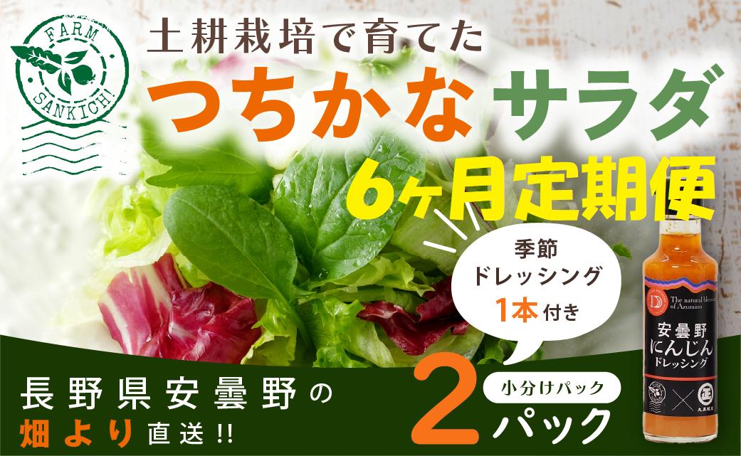 
            サラダミックスとドレシングのセット （小） 【定期便６ヶ月連続】
          