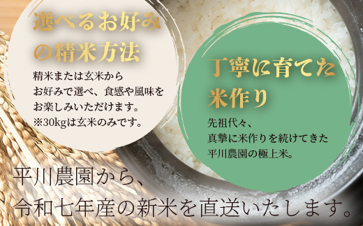 令和7年産 新米 くまさんの輝き 5kg (令和7年10月中旬より順次発送) 新米 熊本県 多良木町 お米 5キロ 米 白米 精米 107-0701