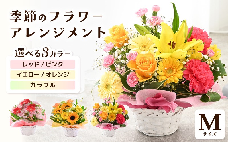 
                  選べるカラー 季節のフラワーアレンジメント M 【カラー：レッド・ピンク / イエロー・オレンジ / カラフル】 お花 フラワー 花束 ギフト 生花 プレゼント 花束 花 記念日 お祝い 入学式 卒業祝い 結婚式 ウエディング フラワーギフト 贈り物 贈答 お祝い事 [A-20702] 
                