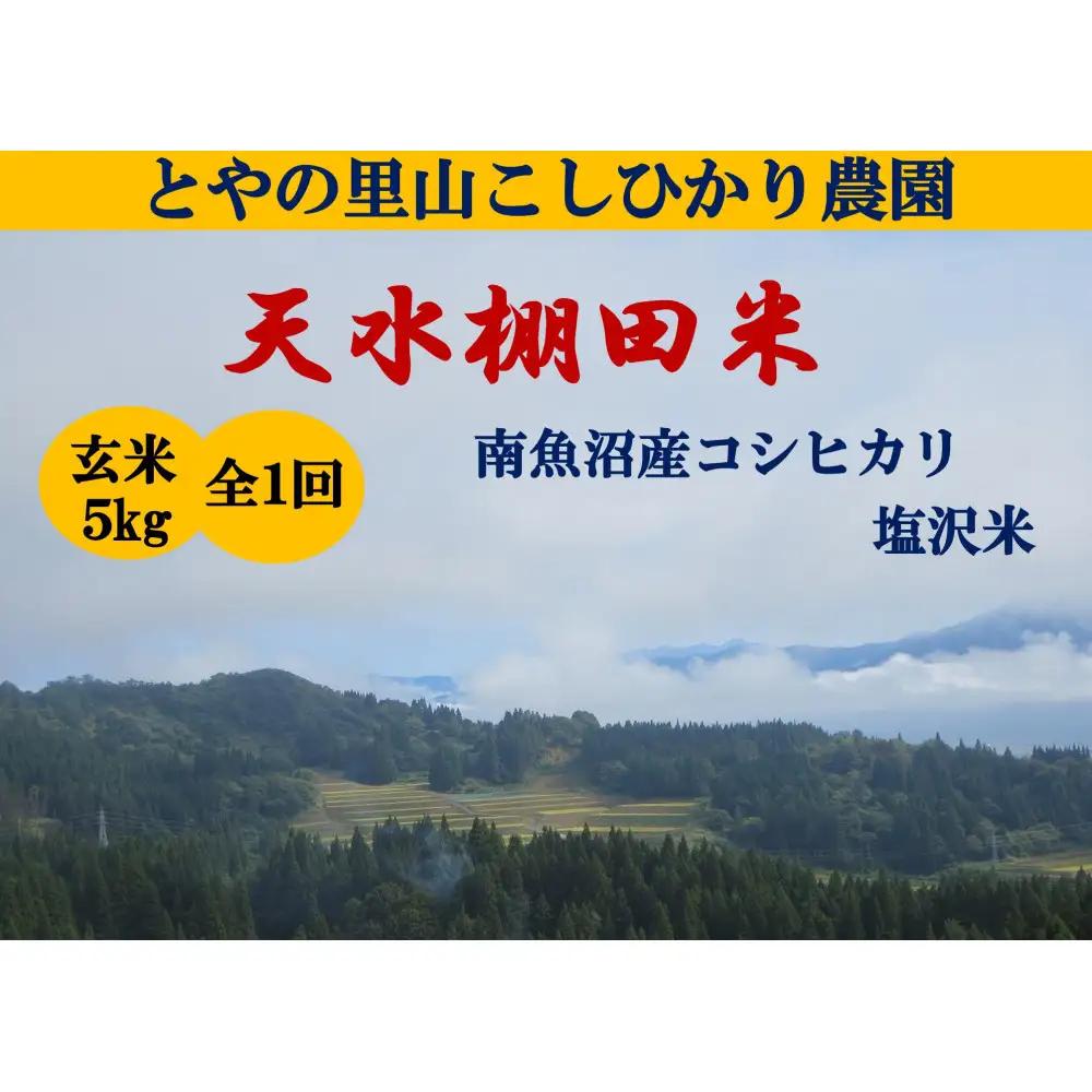 【令和8年産新米予約】【天水棚田米】雪蔵熟成塩沢産コシヒカリ玄米5kg1回「とやの里山継承プロジェクト」【2026年10月下旬より1ヶ月以内に順次発送予定】