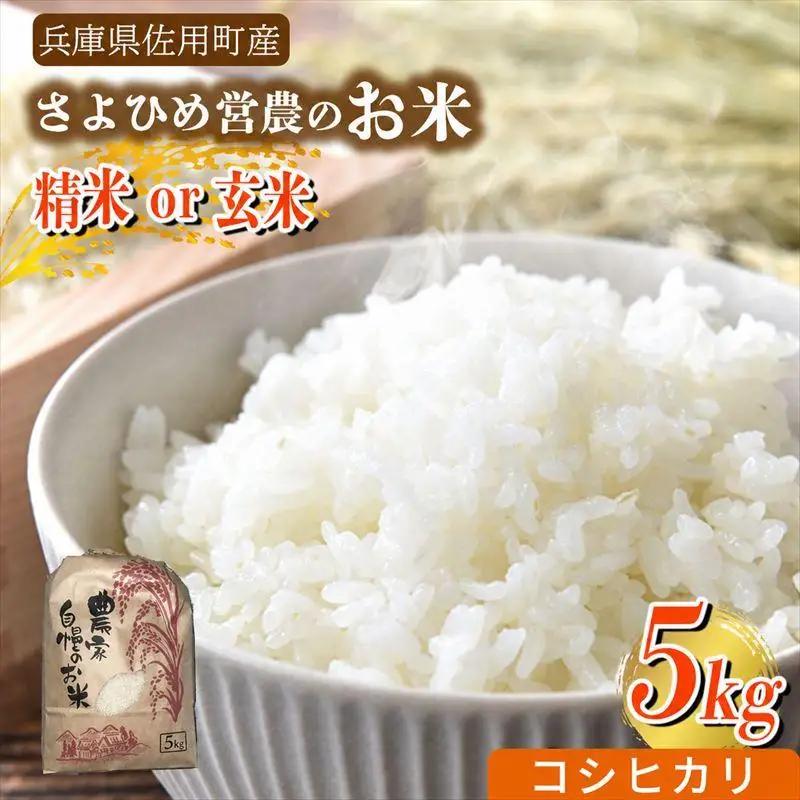 【兵庫県佐用町産】さよひめ営農のお米 5kg コシヒカリ/精米