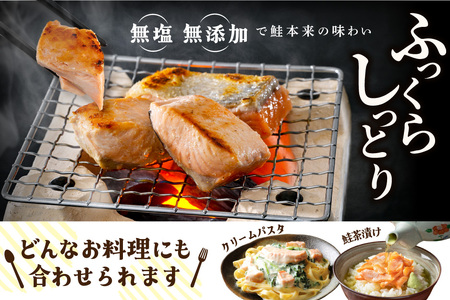 北海道産 カット秋鮭 約 1.2kg （600g×2） 天然 無塩 訳あり サイズ不揃い【KT0000020】