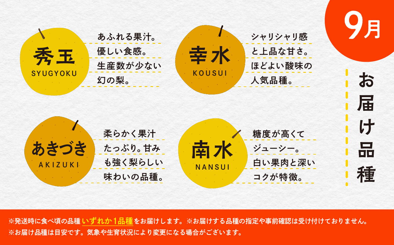 もぎたて梨 5kg 採れたて あきた梨 幸水 あきづき 南水 かおり 秋泉 秀玉 新星 新高 12~18玉前後 旬 果物 くだもの フルーツ なし 冷蔵 送料無料 お取り寄せ 秋田県産 秋田 潟上市 