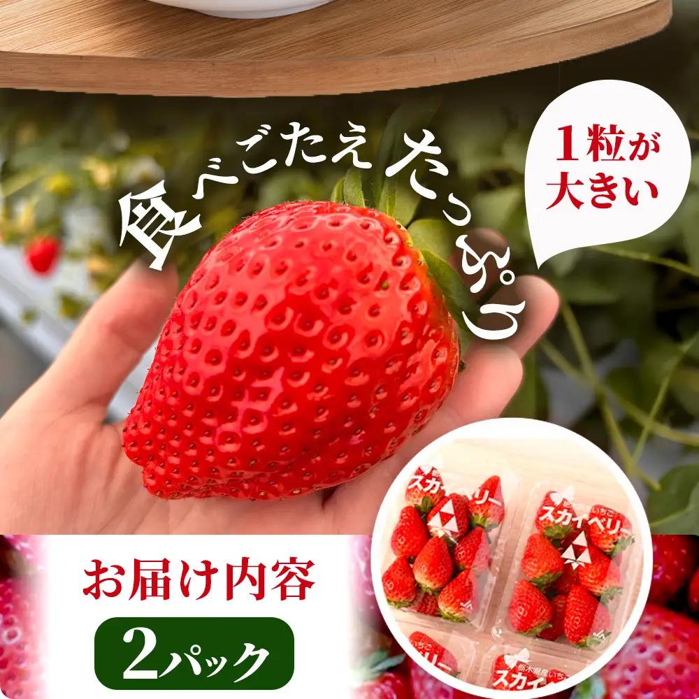【先行予約】いちご スカイベリー 出会いの森いちご園 （290g×2パック） ※2026年12月～発送