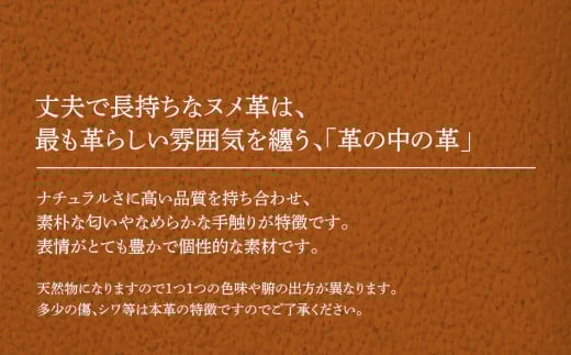 イントロ/名刺入れ（イタリアンレザー・キャメル） カードケース レディース メンズ 二つ折り カード入れ 名刺ケース カード収納 プレゼント おすすめ 福岡県 大木町 ナデルファーデン BK134