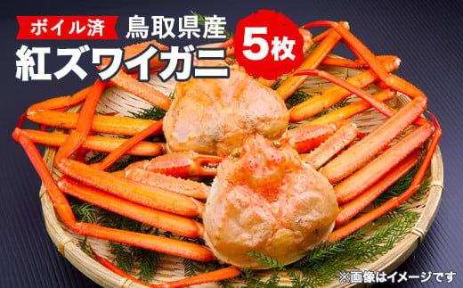 751.鳥取県産　ボイル紅ズワイガニ5枚セット※着日指定不可※離島への配送不可※2027年2月上旬～4月下旬頃に順次発送予定