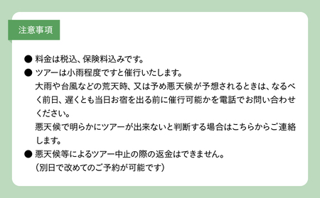 金作原 散策 ツアー A183-001 散策ツアー アウトドア 自然 観光 観光スポット チケット 体験チケット 金作原原生林 原生林 散策路 四季 花 野鳥 昆虫 ゆったり のんびり 注目 アマミュ