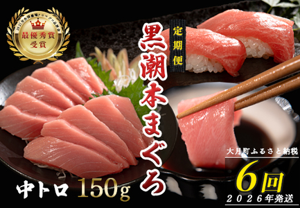【定期便6回】日本一!黒潮本まぐろ 中トロ