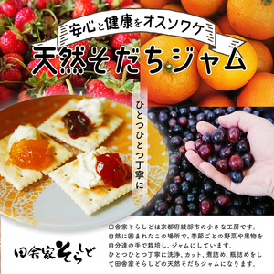 天然育ち季節のジャム 3個 【 ジャム ジャムセット 季節のジャム 国産 果物 フルーツ 手みやげ お返し 内祝い お中元 お歳暮 プレゼント 詰め合わせ セット 贈答 贈り物 ギフト 京野 綾部 】
