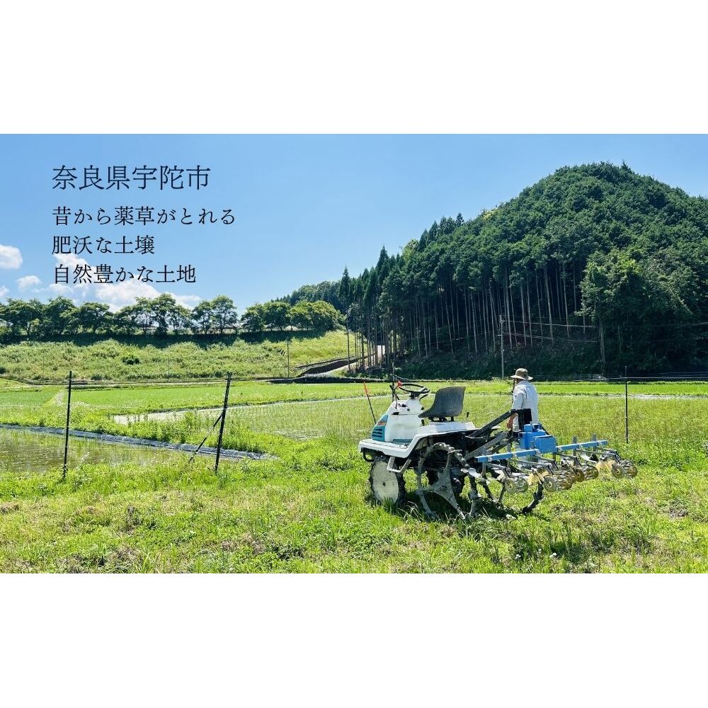 特別栽培米 ＜令和7年産 玄米 5kg＞ / ふるさと納税 栽培期間中農薬不使用 米 お米 こめ コメ 国産 新米 玄米 農家やまおか 奈良県 宇陀市_イメージ4