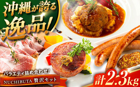 『NUCHIBUTA 贅沢セット』 豚肉 ハンバーグ ソーセージ ハム 詰め合わせ ハンバーグ ソーセージ ハム ハンバーグ ソーセージ ハム ハンバーグ ソーセージ ハム 