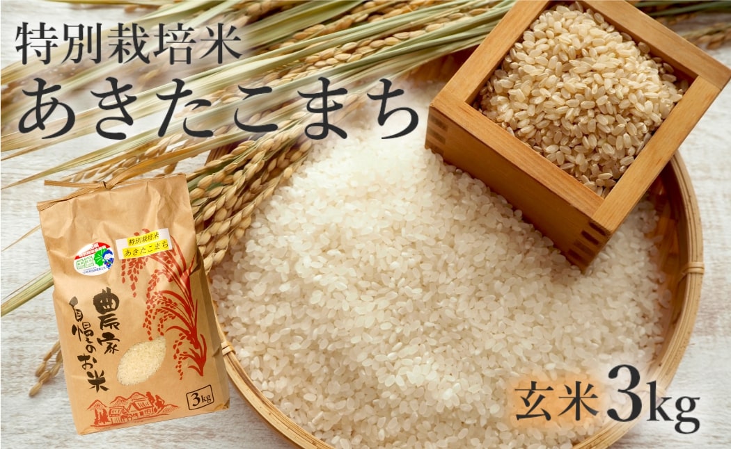 米 お米 玄米 特別栽培米 あきたこまち 3kg 秋田県産 令和6年産