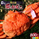 【ふるさと納税】タグ付き ボイル 柴山がに 800g 以上 1匹 送料無料 番がに 柴山港 松葉ガニ 松葉かに 松葉蟹 浜茹で カニ 茹で 蟹味噌 かにみそ カニスキ 蟹鍋 カニしゃぶ 年末 かに 蟹 国産 姿 ズワイガニ 焼き蟹 蟹しゃぶ 香住 柴山産 冷蔵 株式会社 ヤマヨシ 37-07