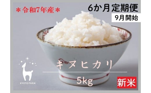
            〈6か月定期便・9月開始〉【新米先行受付】【京都ファーム】令和7年産 京都ファームのキヌヒカリ 5kg ［ 京都 京北産 きぬひかり 人気 おすすめ 米 コメ おこめ お取り寄せ 通販 送料無料 ふるさと納税 ］
          