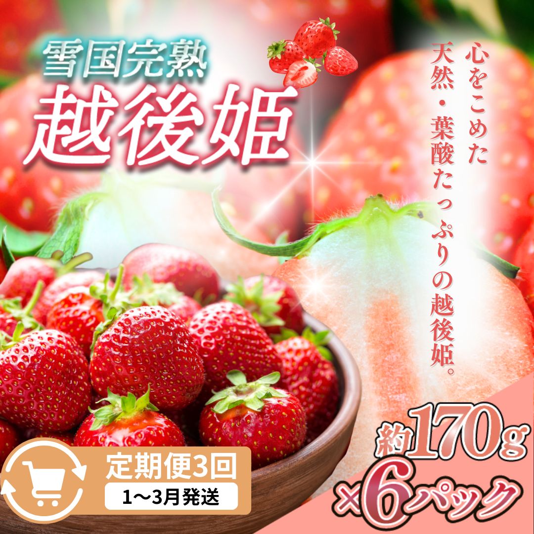 【ふるさと納税】定期便 3回【1～3月発送】雪国完熟いちご越後姫 170g×6全3回 定期配送 越後姫 いちご 定期便 完熟 苺 新潟　お届け：1月～3月の月1回お届けいたします。