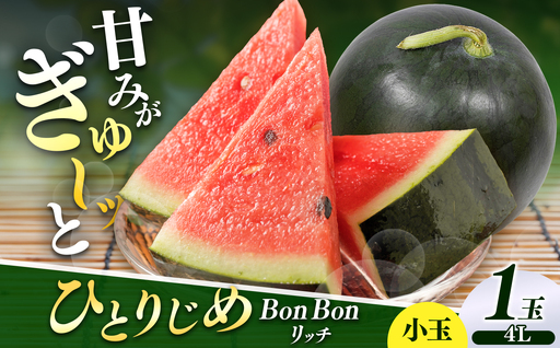 【先行受付】松本市 波田産 小玉すいか ひとりじめBonBonリッチ 4L(2.5㎏～3.2㎏)１玉