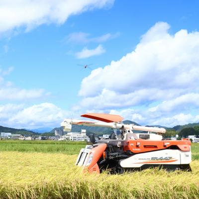 ふるさと納税 いの町 によどブルー米 5kg |  | 01