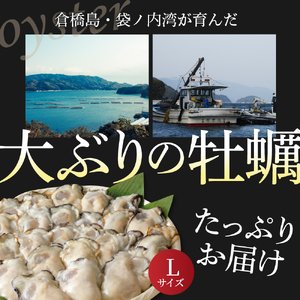 北吉水産 広島県産 冷凍 かき Lサイズ 1kg 大粒 自社ブランド 牡蠣 カキ 急速冷凍 バラ冷凍 新鮮 美味しい 殻むき不要 小分け 便利 アレンジいろいろ カキフライに 広島県 呉市 ku004