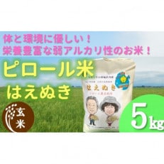 【令和6年産・玄米】九代目又七のピロール農法米はえぬき 5kg PS4-021