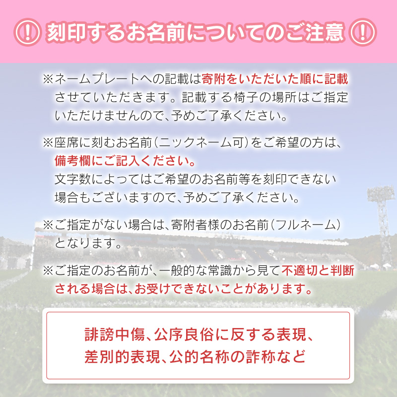 ＜寄附のみ＞ 返礼品なし いちご宮崎新富サッカー場 改修整備 1口 30,000円 J2昇格 テゲバジャーロ宮崎 サッカー Jリーグ J2 スポーツ 社会貢献 地域活動 応援寄附 サポーター【S27】