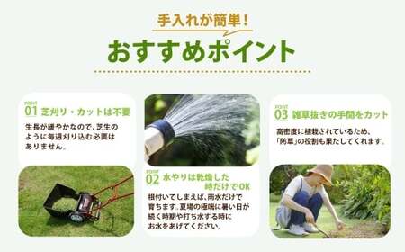 玉竜 タマリュウ たまりゅう 4枚 【7営業日以内に発送】 植物 プラント 芝生 ガーデニング ガーデニング用品