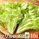 【ふるさと納税】フリルレタス 10袋セット レタス 野菜 やさい サラダ 採れたて 新鮮 冷蔵 鹿児島県 薩摩川内市 送料無料