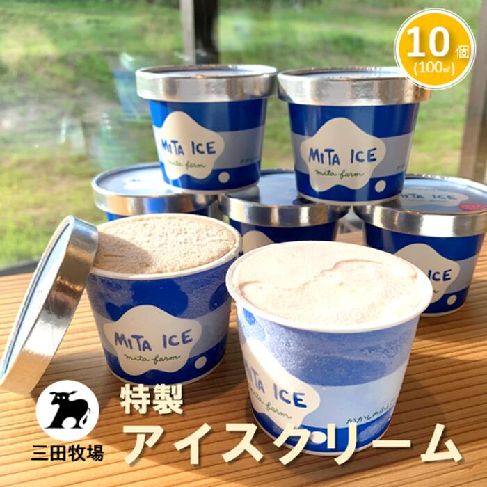 【ふるさと納税】アイス 三田牧場 特製 アイスクリーム 4種類 10個 セット ミルク チョコレート いちごミルク ラムレーズン お菓子 スイーツ 詰め合わせ