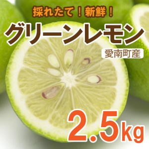 グリーン レモン 檸檬 2.5kg フルーツ 果物 くだもの 贈答 ギフト ビタミンC クエン酸 疲労 回復 ストレス 解消 免疫力 向上 大容量 国産 産直 皮ごと 丸ごと 愛媛 愛南